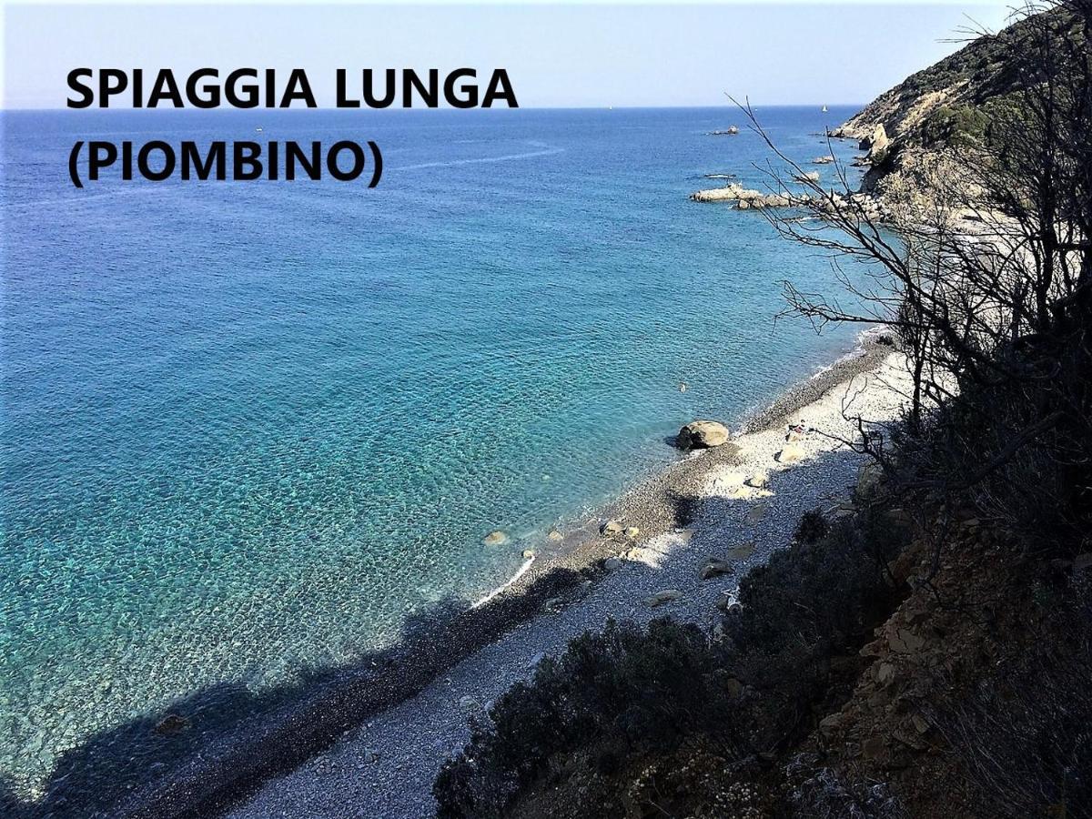 Spazio-Confort-Fitness Piombino Luaran gambar